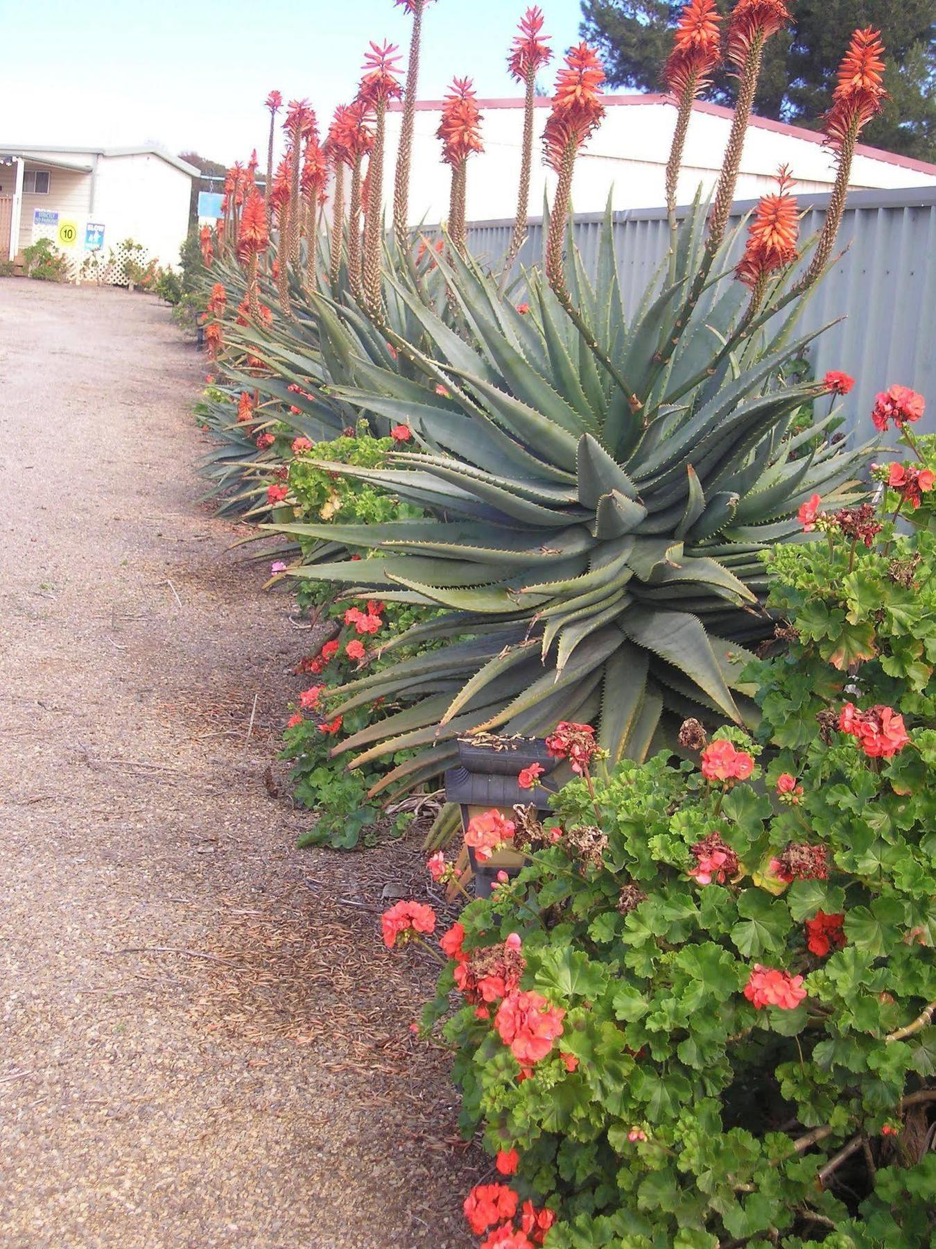 Moonta Bay Accommodation Port Moonta Esterno foto